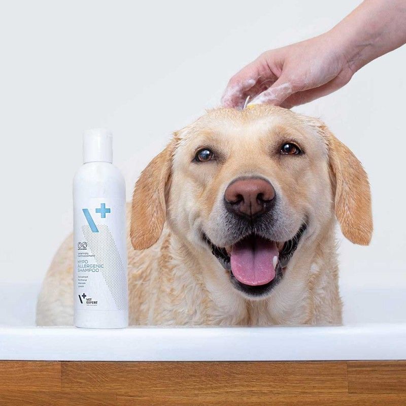 vetexpert szampon hypoallergenic 250 ml dla psa ceneo
