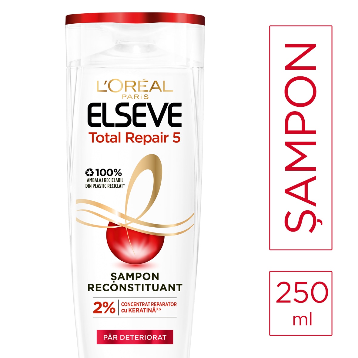 szampon elseve cement